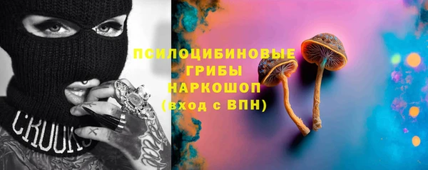spice Алексин