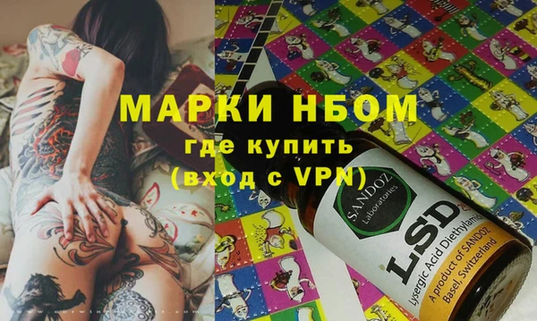хмурый Алзамай