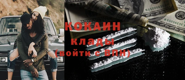 хмурый Алзамай