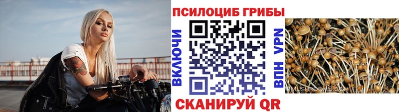 Галлюциногенные грибы Magic Shrooms  Евпатория 